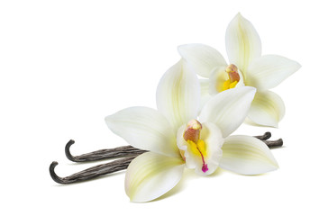 Fototapeta na wymiar Double vanilla flower 2 isolated on white