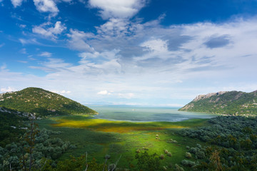 Fototapeta na wymiar Montenegro. Lake Skadar.