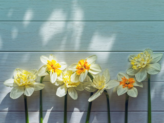 Daffodils on a light wooden background
