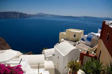 Fototapeta premium Santorini, Grecja - błękitny morze, niebieskie niebo i różowi kwiaty