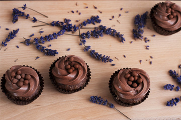 Chocolate Cupcakes on a wooden chopping board and lavender flowers