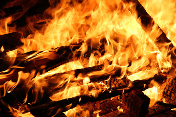 Bonfire in the evening.Wood burning