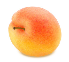 Ripe orange apricot with stem isolated
