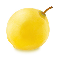 Ripe apple-quince with stem isolated