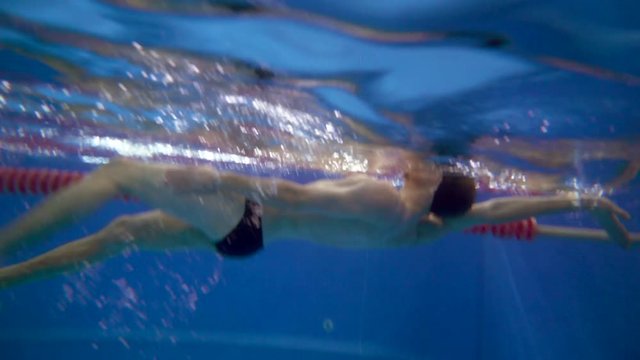 Underwater view to the professional swimmer quickly swiming backstroke in the pool .