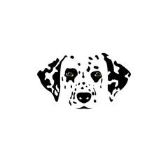 Isolated dalmatian dog black and white head.
