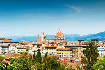 Fototapeta na wymiar Panoramic view of Florence, Italy.