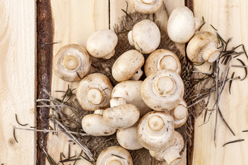 Fototapeta na wymiar Mushrooms champignon on wooden table. Top view. Copy space.