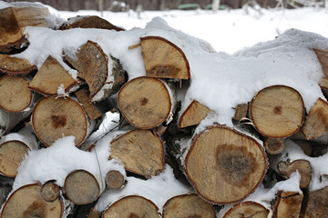 Garden - Firewood in snow