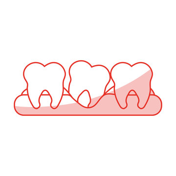 red shading silhouette cartoon set tooth in gum vector illustration