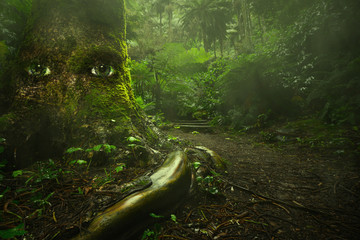 Obraz premium wielkie drzewo z oczami w tropikalnym tajemniczym zielonym lesie z bajkowym światłem. koncepcja przyrody na żywo