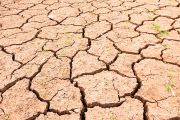 Drought, the ground cracks, no hot water, lack of moisture.
