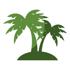 tropical palm icon over white background. vector illustration