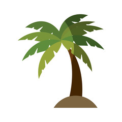 tropical palm icon over white background. vector illustration