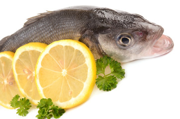 Seabass on a white background