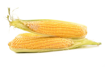 Corn on a white background