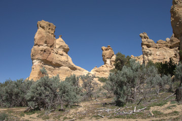 Sandstone Hoodoos / Sandstone hoodoos in Pilares Canyon near Aztec, New Mexico