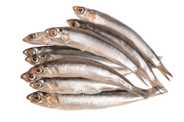 anchovy