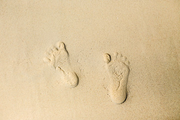 footsteps in sandy on the beach