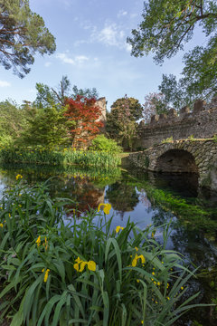 Lush vegetation and pure water at the Garden of Ninfa in the province of Latina, Italy, Europe