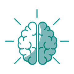 brain organ icon over white background vector illustration