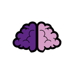 brain organ icon over white background . colorful desing. vector illustration