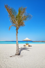 Beautiful beach with palm tree and sun umbrella, summer holidays concept.