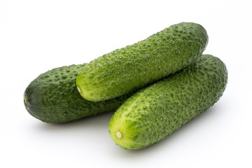 The first spring ecologically cucumbers.