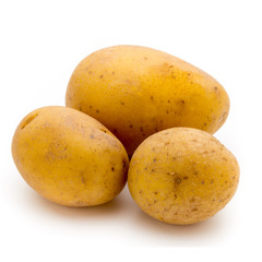 Raw potato isolated on white background.
