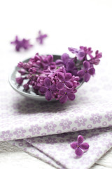 Obraz na płótnie Canvas Violette Fliederblueten auf Papierserviette mit Blumenprint