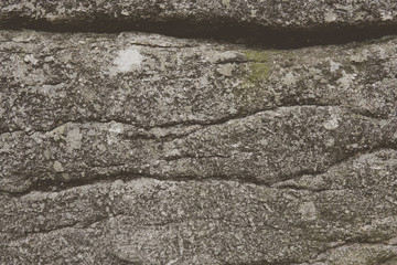 Darmoor Rocks