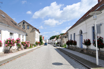 Fototapeta na wymiar Straße mit Rosenbäumchen, Rosenstadt Putbus, Stadtansicht
