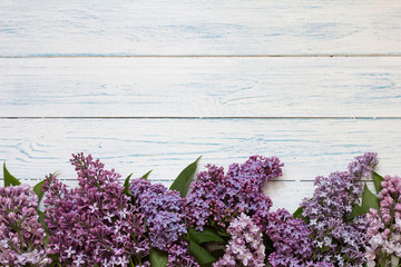 Lilac flowers on white wooden vintage background.