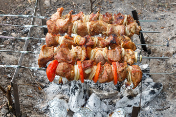 Pork cooked on the grill. Meat cooked on the coals. Pork being prepared fire. Pork kebab. Meat with onions and vegetables on the fire. Fresh meat. Skewers on the fire in the forest.