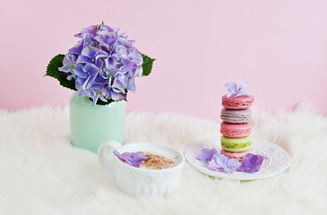 French colorful macarons, white background