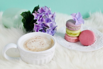 Fototapeta na wymiar French colorful macarons, white background
