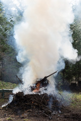 Very wet burn pile puts off lots of smoke