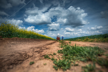 Red tractor in a field