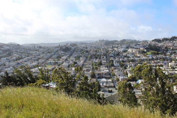Obraz premium Rolling hills in San Francisco