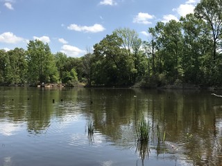 Calm Day at the lake
