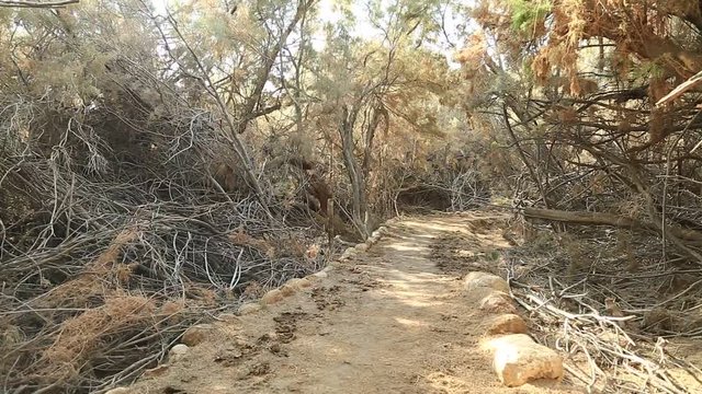 Al-Maghtas - historical place of baptism of Jesus Christ, is an archaeological world heritage site on the east bank of Jordan river, officially known as Baptism Site Bethany Beyond the Jordan