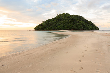 Tropical forest at the end of paradise sand beach