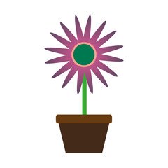 beautiful flower in pot icon over white background. colorful design. vector illustration