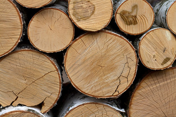 Fototapeta premium birch logs are stacked in a pile
