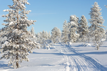 Winter landscape in Lapland, Finland.