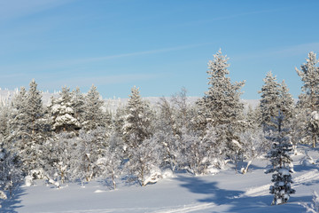 Winter landscape in Lapland, Finland.