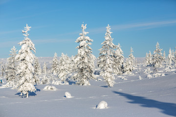Fototapeta na wymiar Winter landscape in Lapland, Finland.