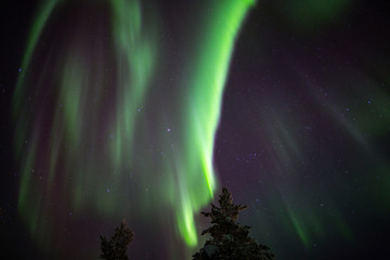 Obraz na płótnie Canvas Aurora borealis (northern lights) in Lapland, Finland.