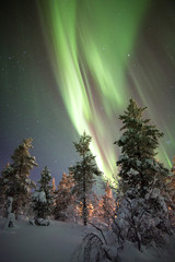 Aurora borealis (northern lights) in Lapland, Finland.