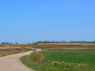 Beautiful spring rural landscape: the road leaving into the sky